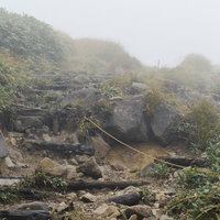 尾根の先は雲の中、視界不良の巻機山登山道の写真