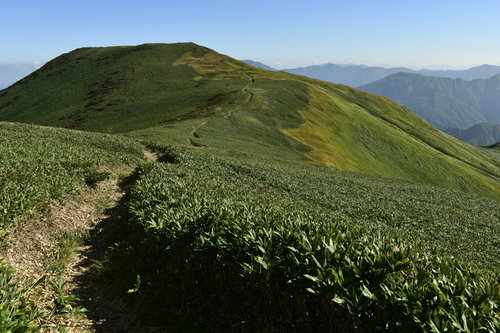 巻機山から牛ヶ岳へ続く稜線の登山道と山々の景観