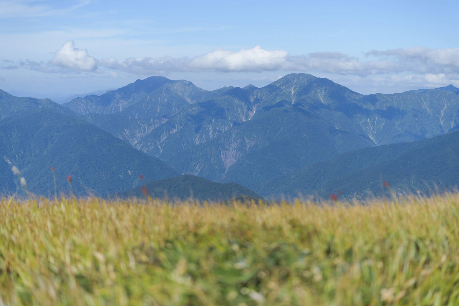 巻機山から見る越後三山の山並みと手前の黄金色の草原