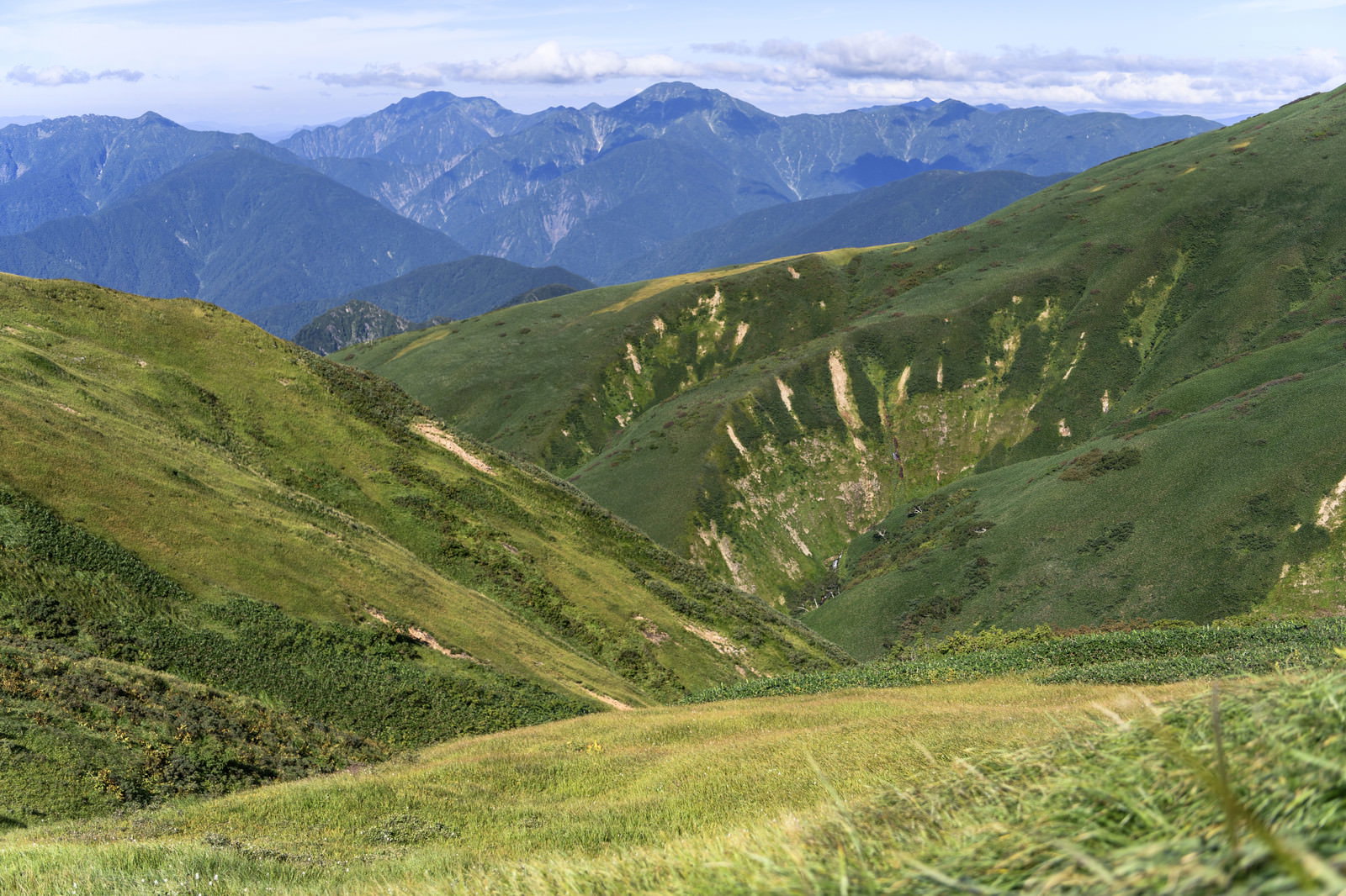 巻機山の深い谷と背景に連なる越後駒ヶ岳の山々