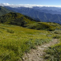 巻機山山頂から小屋へと続く笹原の登山道と遠方の山々の写真