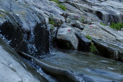 巻機山のヌクビ沢で水が滴り滑る苔むした岩