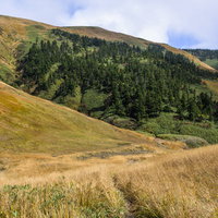 日本百名山・巻機山（まきはたやま）の牧歌的な山容の写真