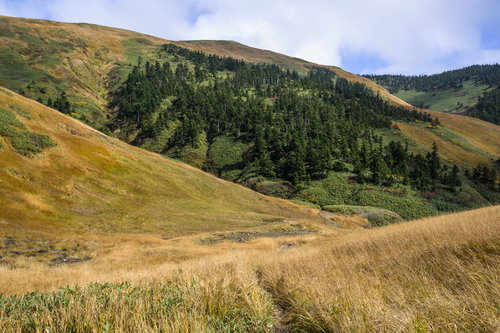 日本百名山・巻機山（まきはたやま）の牧歌的な山容