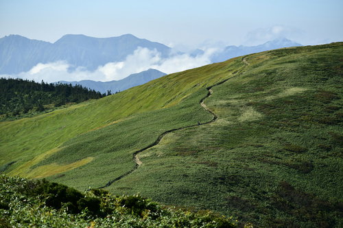 笹に包まれた巻機山の穏やかな登山道を行く新潟の高原ハイキング
