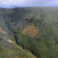 山肌が肉球のような模様になる草紅葉（巻機山・日本百名山）の写真