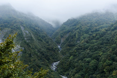 雲に包まれた巻機山ヌクビ沢の山肌と沢筋の景観