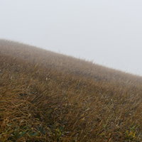 霧に包まれた草紅葉の巻機山、視界不良のガスの中に茶色く色づく秋山の写真