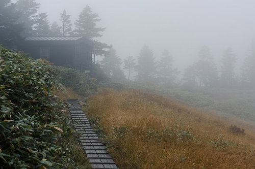 霧に包まれた巻機山の木道と避難小屋の風景
