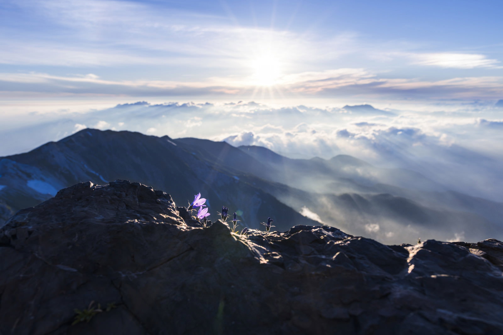 雲海の上に浮かぶ白馬岳の山並みと朝日が輝く風景