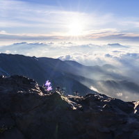 朝日に輝く空とチシマギキョウが咲く白馬岳の写真