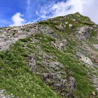 北アルプス白馬岳の岩場が続く山頂を仰ぎ見る景色の写真