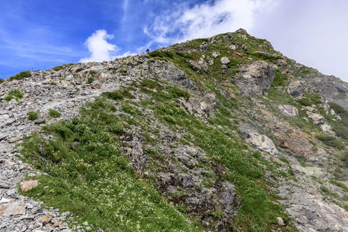 北アルプス白馬岳の岩場が続く山頂を仰ぎ見る景色