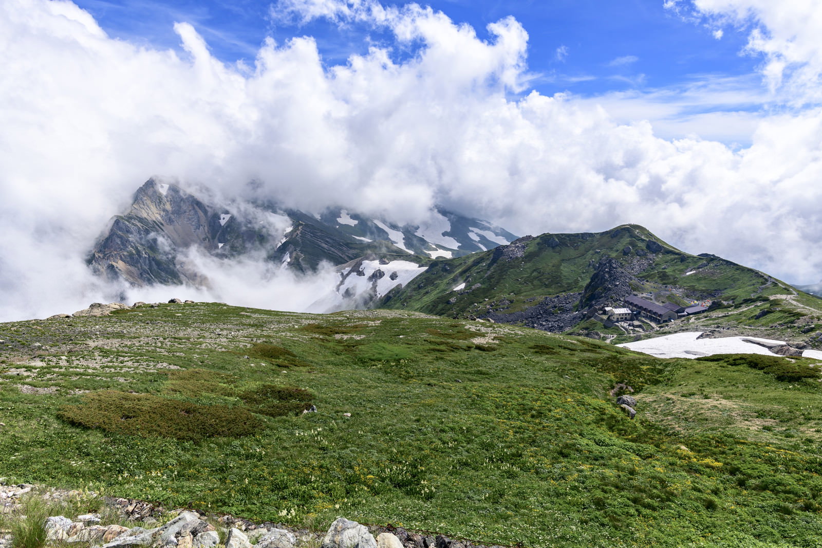 雲に包まれた白馬岳稜線、緑の高山植物と残雪のある山々