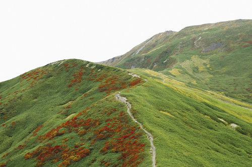 山頂に突き上げる月山の登山道、緑の稜線を蛇行する景色