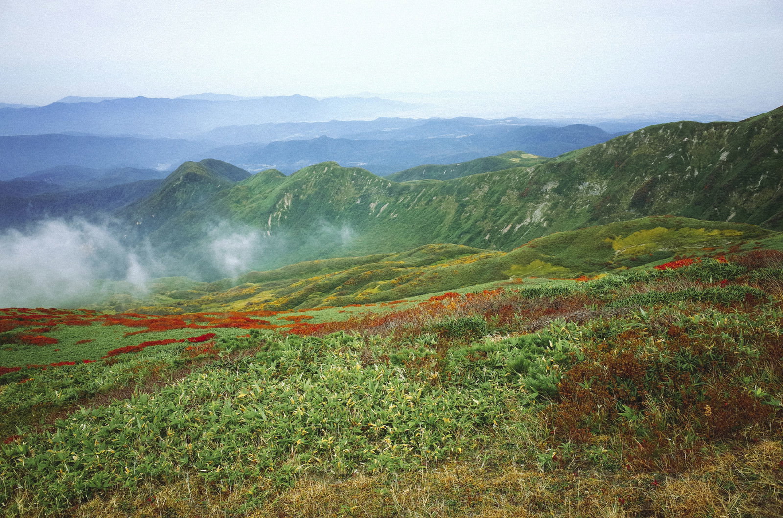 緑の斜面に白いガスがかかる月山の山肌と遠くの山並み