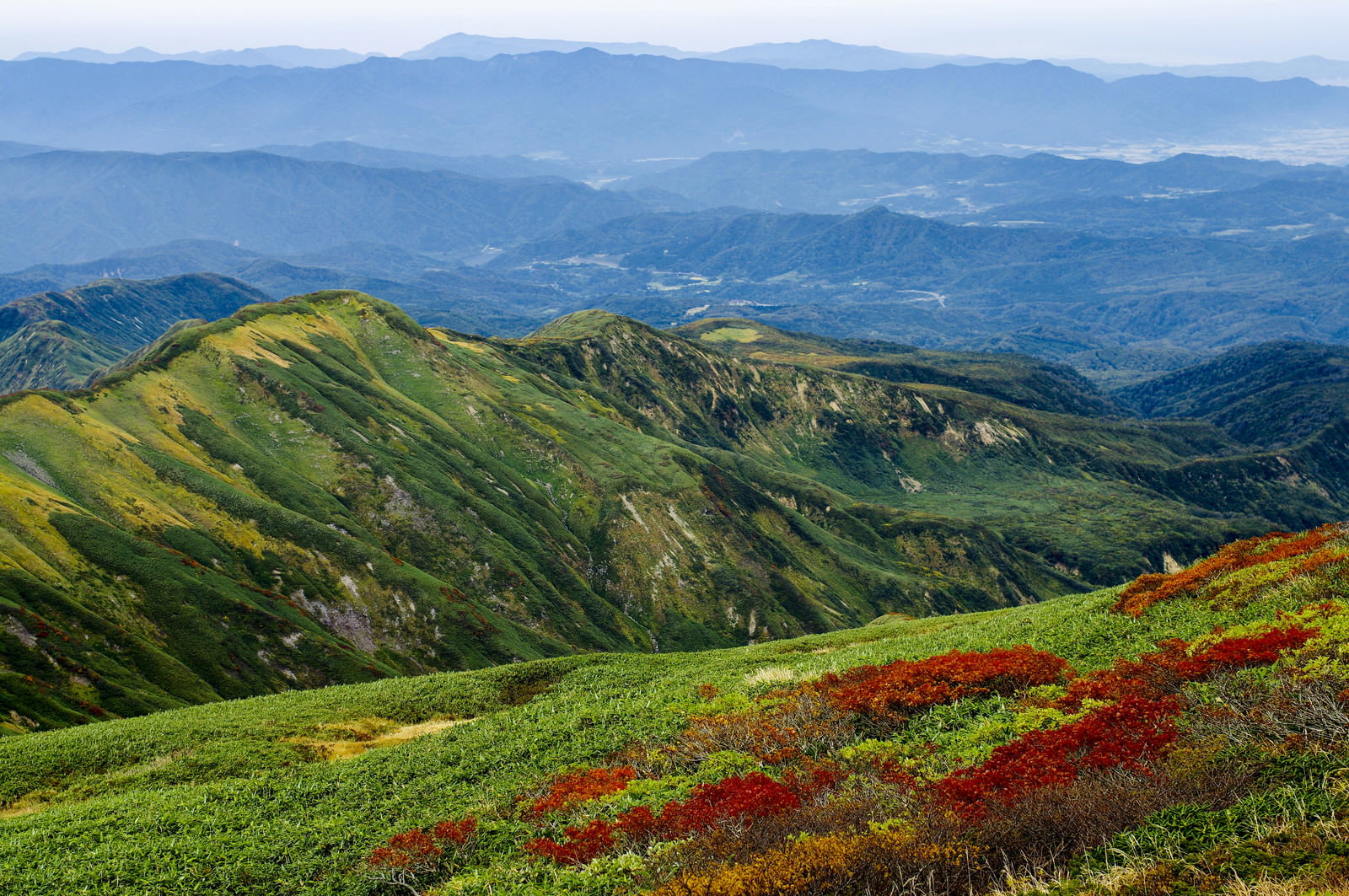 月山へ続く緑の稜線と遠方に広がる麓の街並み、手前に赤い草花