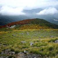 月山ロープウェイから眺める秋の紅葉に染まる山肌の写真
