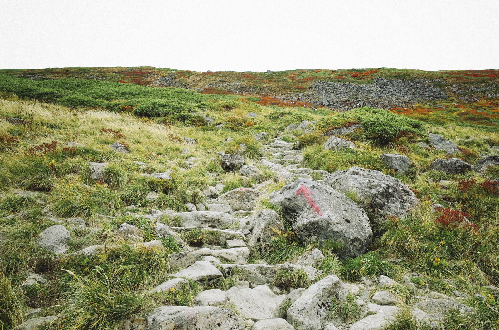 月山の岩場が続く険しい登山道。石が敷き詰められた道と緑の草地
