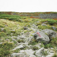 月山山頂へと続く石畳の険しい登山道と岩場の写真
