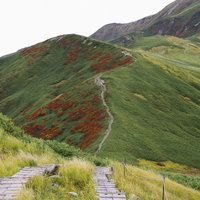 紅葉のナナカマドが待つ登山道へと続く道の写真