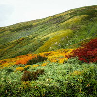日本百名山・月山の姥ヶ岳中腹の紅葉と秋の自然風景の写真