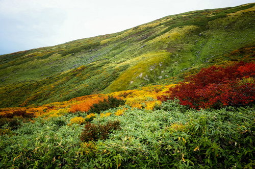 日本百名山・月山の姥ヶ岳中腹の紅葉と秋の自然風景