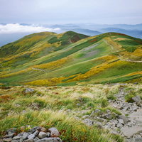 紅葉の月山のなだらかな登山道を歩む秋の稜線の写真