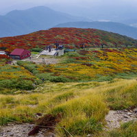 秋色に染まる月山の紅葉とロープウェイ、日本百名山の絶景の写真