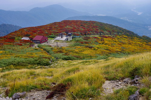 秋色に染まる月山の紅葉とロープウェイ、日本百名山の絶景