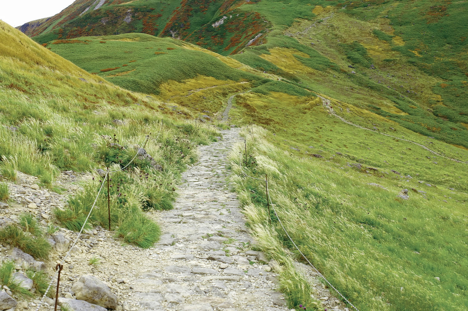 緑の草原を蛇行する石畳の月山登山道と周囲の山々