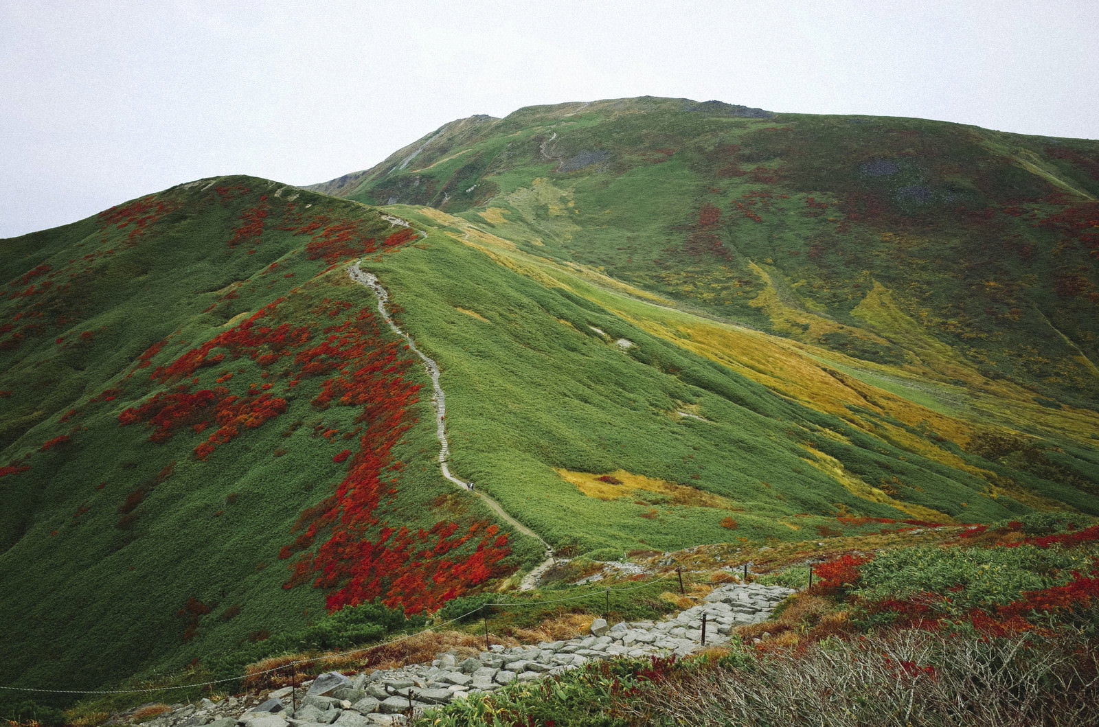 紅葉で赤や黄色に色づいた月山の山肌と、斜面を縫うように延びる登山道