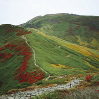 赤と緑と黄色に彩られた月山の登山道の景色の写真