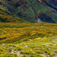 秋の日本百名山・月山の金色に染まる山肌と紅葉風景の写真