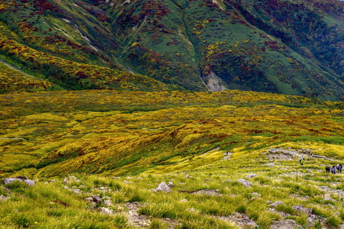 秋の日本百名山・月山の金色に染まる山肌と紅葉風景