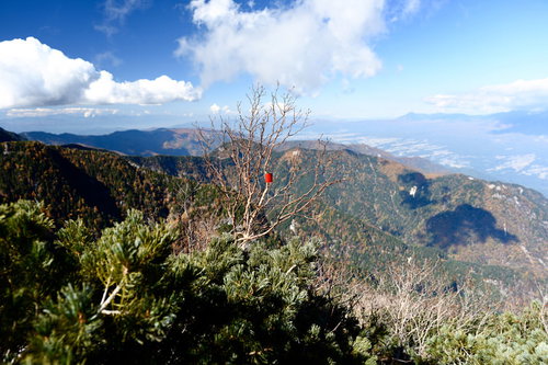 枯れ木に括りつけられた登山者用の目印（甲斐駒ヶ岳）