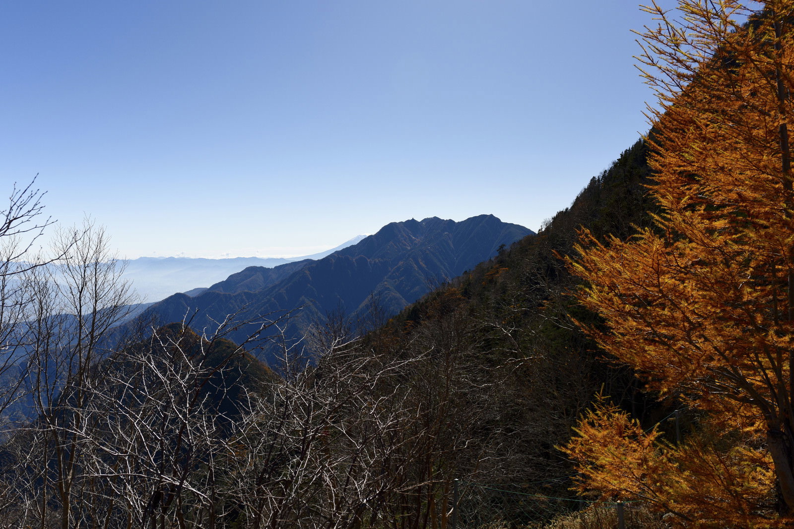 甲斐駒ヶ岳黒戸尾根から見た鳳凰三山方面の山岳風景と紅葉