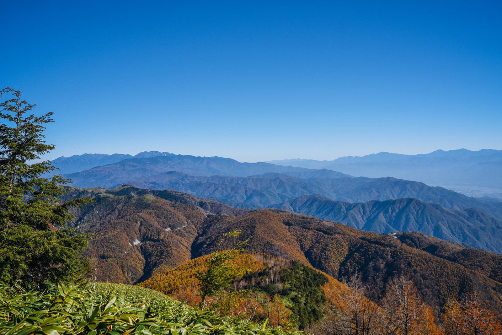 唐松紅葉で真っ赤に染まる恵那山周辺の山並みと青空