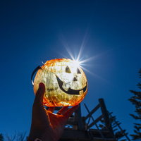 太陽の光を受けて光るハロウィンカボチャの写真