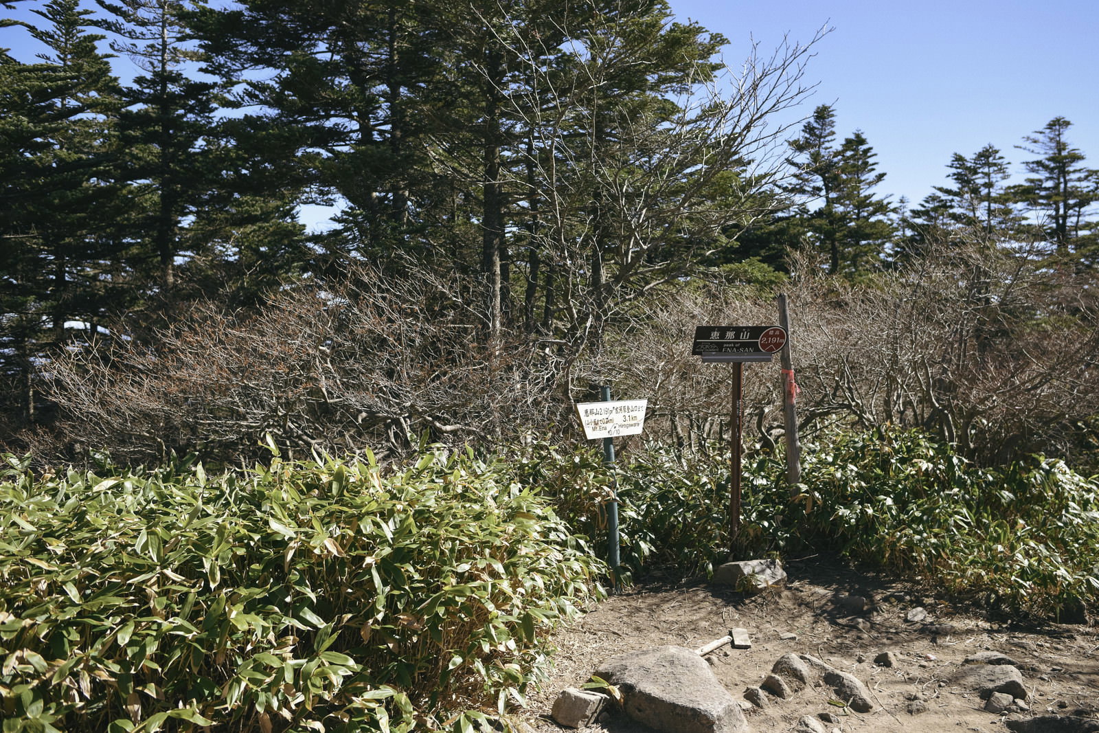 樹木に囲まれて展望のない恵那山の山頂部分と標識