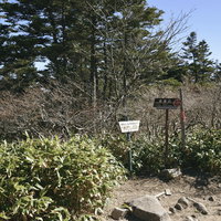 展望が全くない樹木に囲まれた恵那山の山頂の写真