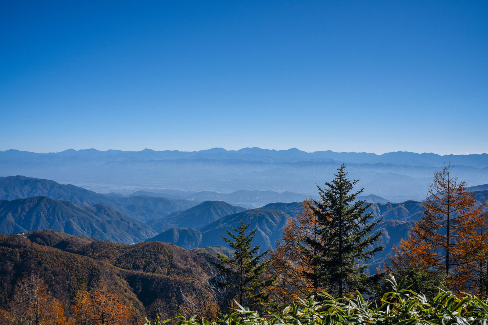 恵那山から見る南アルプス方面の山脈と青空と針葉樹