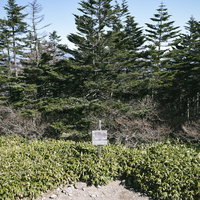 森に囲まれた恵那山山頂の標識と登頂地点の写真
