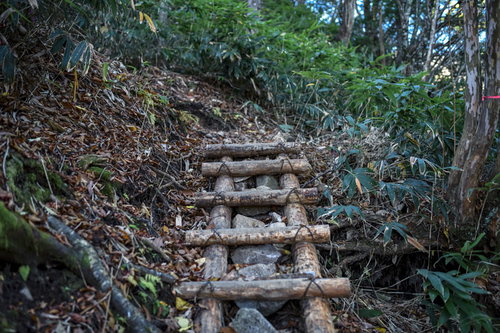 恵那山の登山道にかけられた木製の梯子と急斜面の森