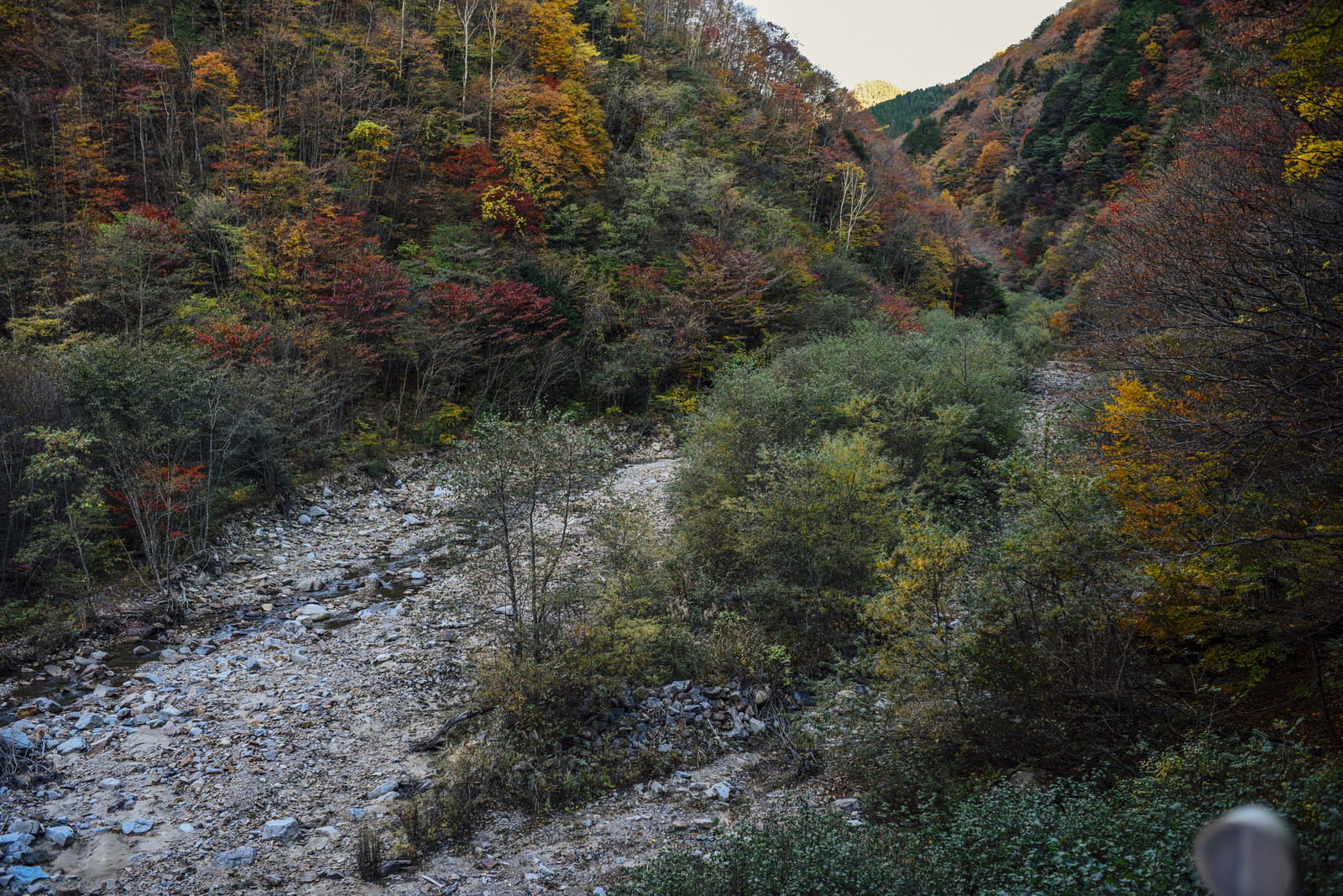 紅葉に囲まれた恵那山広河原の渓流と岩場の風景