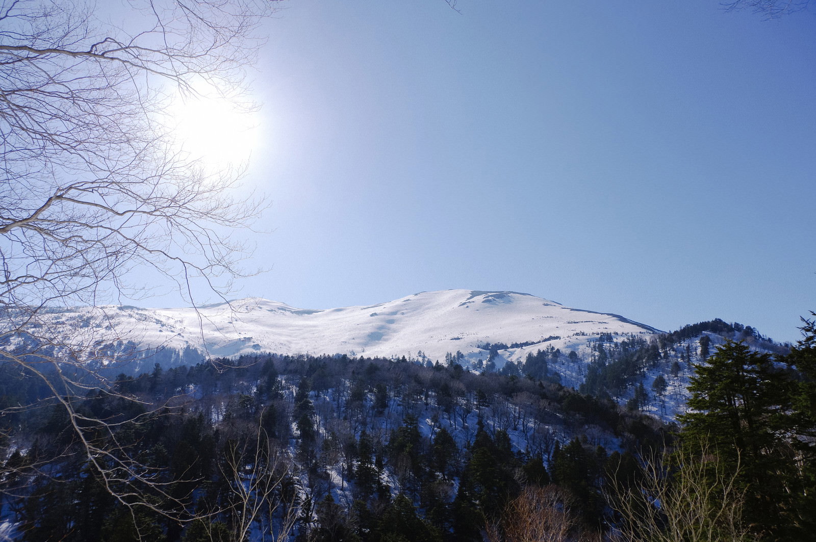 青空の下、午後の日差しに照らされて雪化粧した至仏山の風景