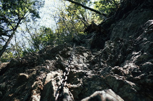 両神山八丁尾根の急峻な岩壁につけられた登山用の鎖を見上げる