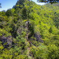 新緑の両神山八丁尾根を登る登山者たちの登山風景の写真
