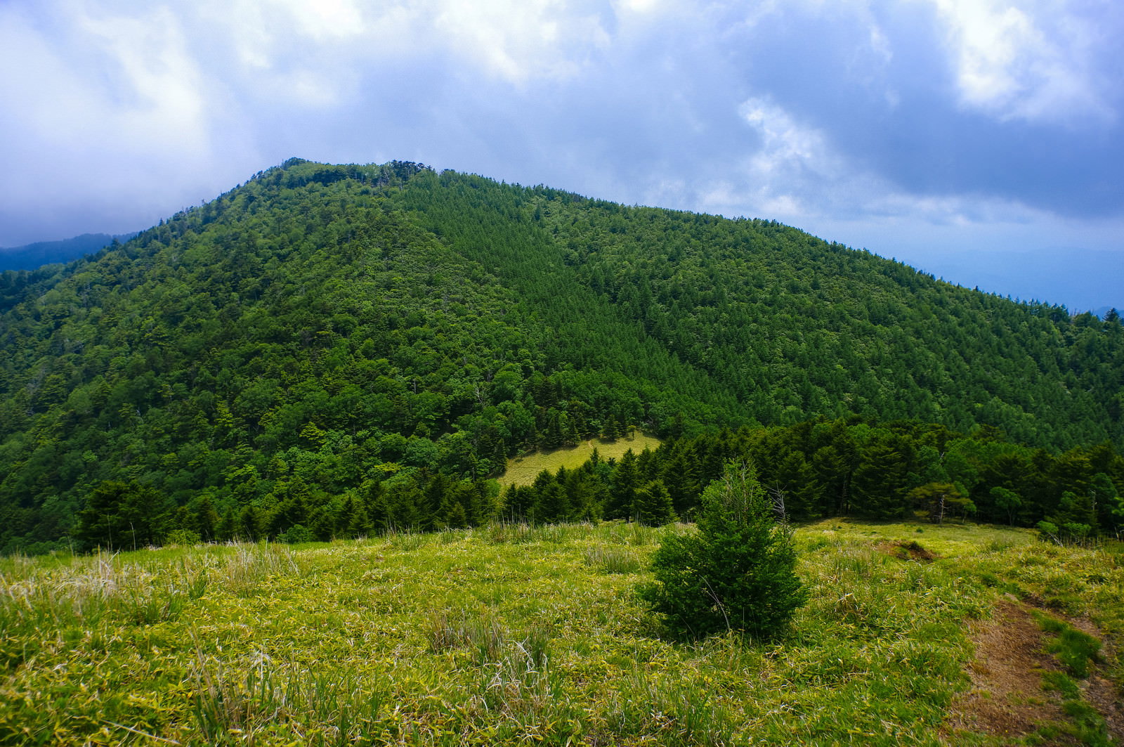 Lush green mountains and a grassland in the foreground, viewed from the Daibosatsu Ridge