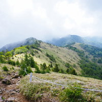 牧歌的な景色が広がる大菩薩嶺の稜線と雲海の写真